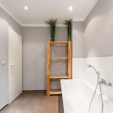 Goethehain Spinnaker *